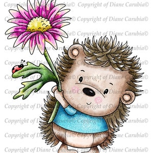 Daisy Hedgy, Blanco y Negro, sello digital, digi, descargar, sublimación, erizo