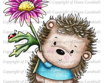 Daisy Hedgy, Black and White, digital stamp, digi, download, sublimation, hedgehog