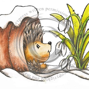 Hibernating Hedgehog, timbre numérique, télécharger