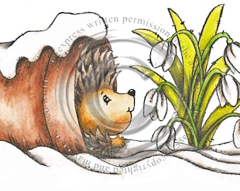 Hibernating Hedgehog, digital stamp, download