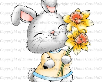 Hasenfrühling, schwarz-weißer digitaler Stempel, Kartenbild, Ausmalseite JPEG