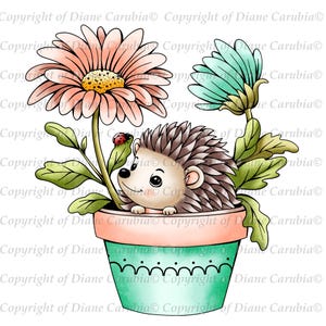 May include: A whimsical illustration of a hedgehog in a flower pot. The pot is teal with a scalloped design, and the flowers are peach and teal. A ladybug rests on a leaf. The image has a watercolor style.