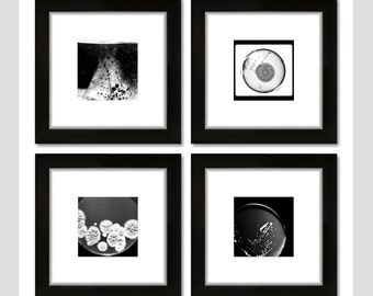 Science Art, Black and White, Square Frame, Vintage, Unique Gift, Geek, Microscopic Photo, Biology, Unusual photo art, abstract, quirky