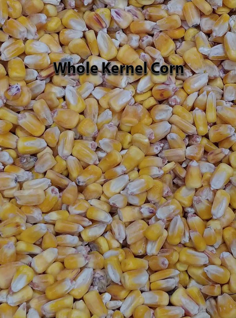 Fuchsia /& Orange 12oz Duck Cloth Cornhole Bags ACA Certified Fast Ship Whole Kernel Corn or All Weather Plastic Resin Filled