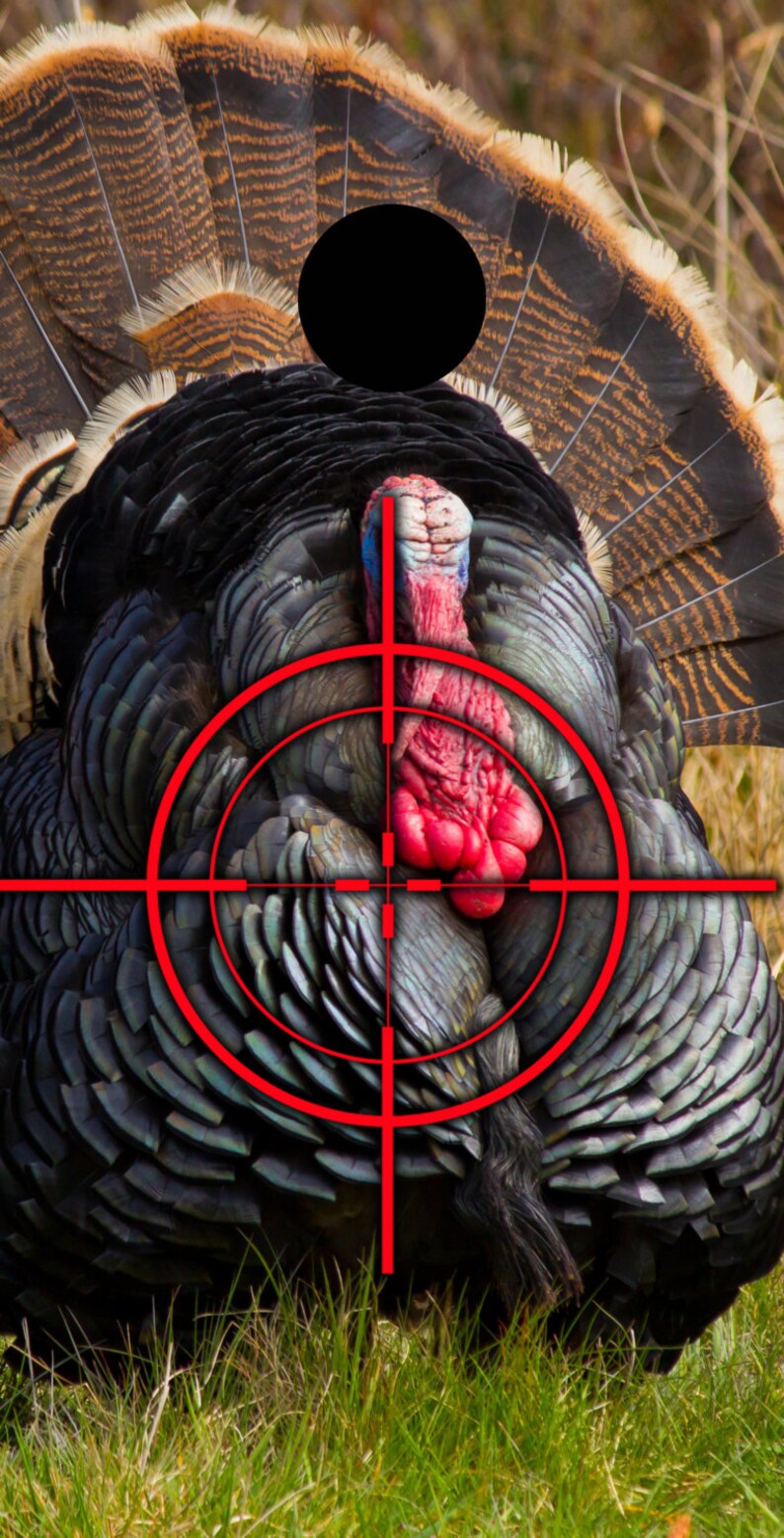 turkey on rec tec bullseye turkey on rec tec bullseye