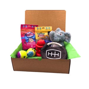 Dog Gift Box with Toys and Treats, Dog birthday gift, Plush Toy, Rope Chew Toy, Dog Treats, Pet Gift Set for Dogs, Puppy Welcome Gift