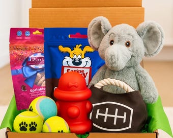 Dog Gift Box with Toys and Treats, Dog birthday gift, Plush Toy, Rope Chew Toy, Dog Treats, Pet Gift Set for Dogs, Puppy Welcome Gift