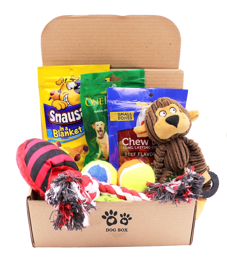 dog gift box