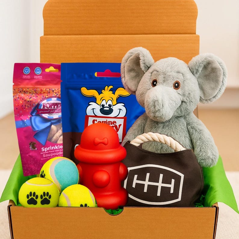 Dog Gift Box, Best Dog Gift Box Set With Pet Toys Treats, Dog Gift Box ...