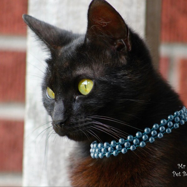 Big Baby Blu Necklace Collar-premium glass pearl cat collar,blue pearl cat collar,pearl cat collar,collar necklace,cat jewelry,pet collar