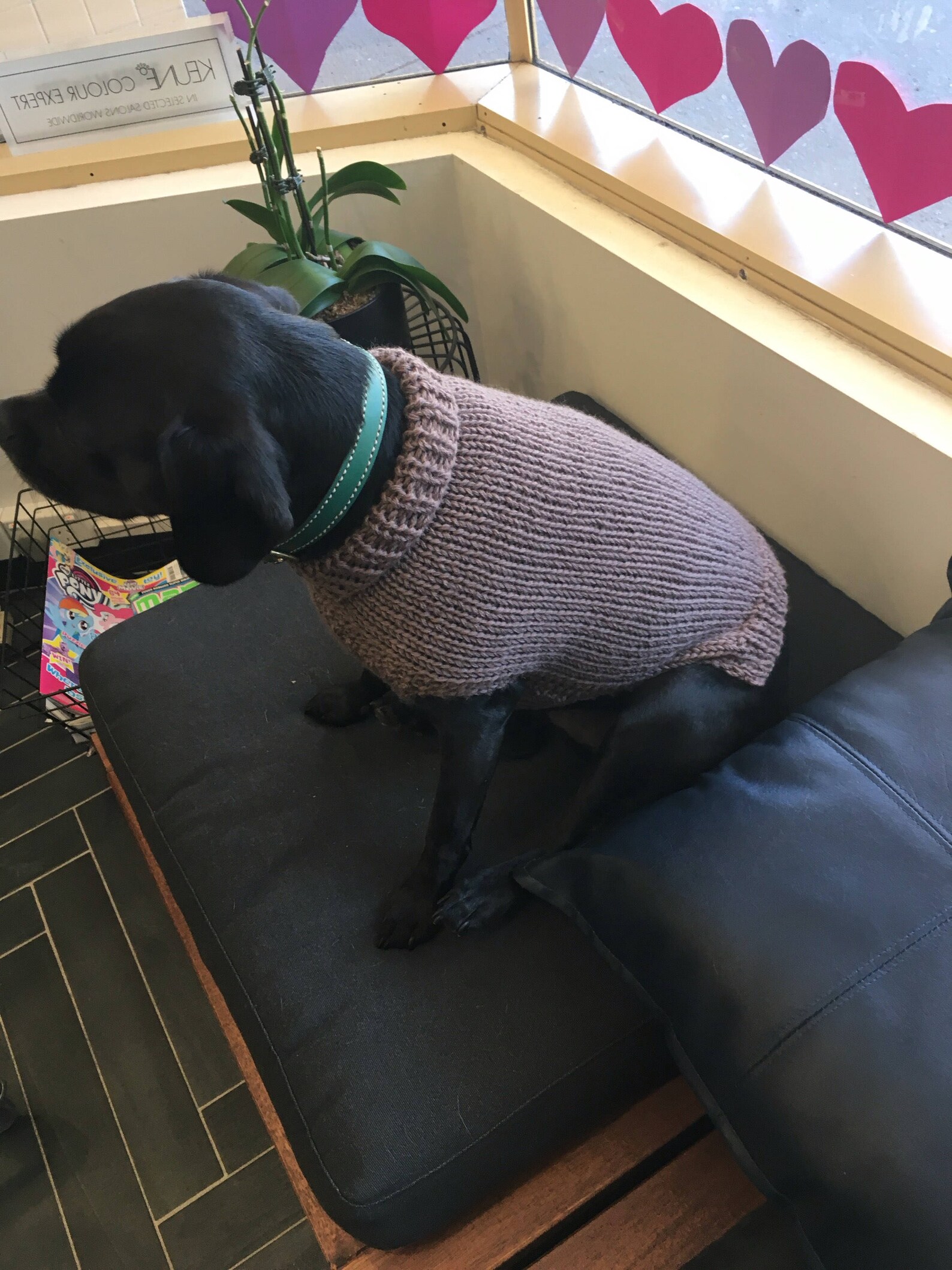 KNITTING PATTERN for a Hand Knitted Dog Sweater Pattern in 12 Etsy