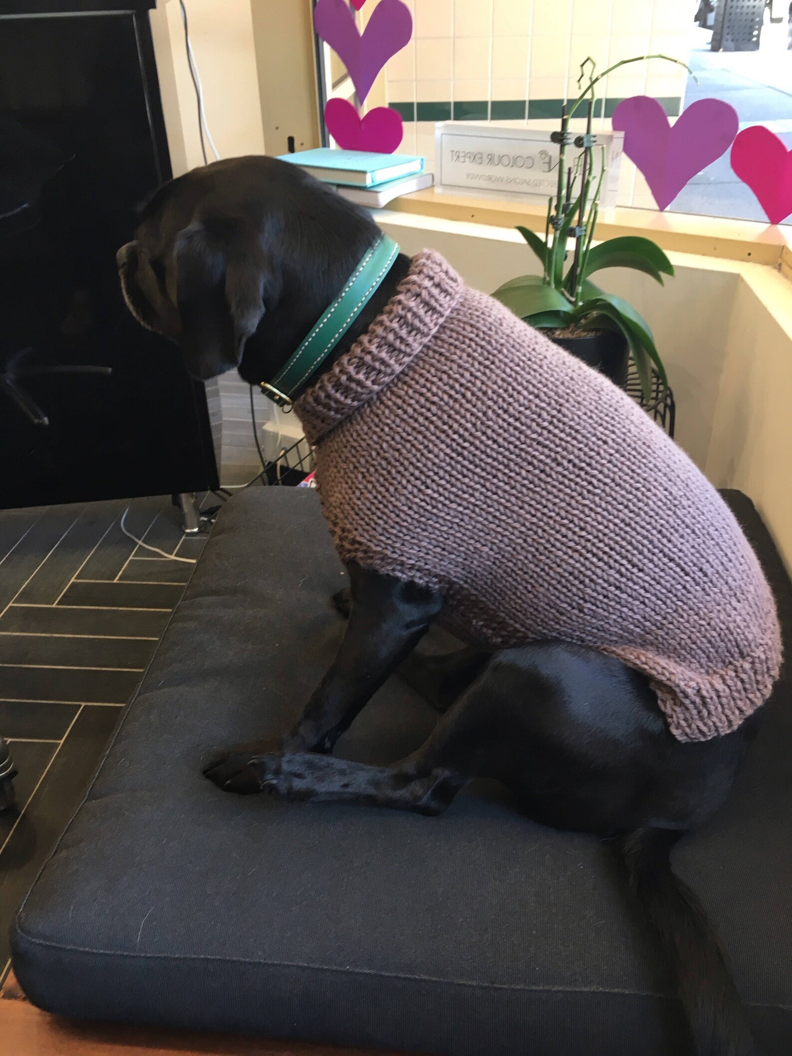 KNITTING PATTERN for a Hand Knitted Dog Sweater Pattern in 12 Etsy