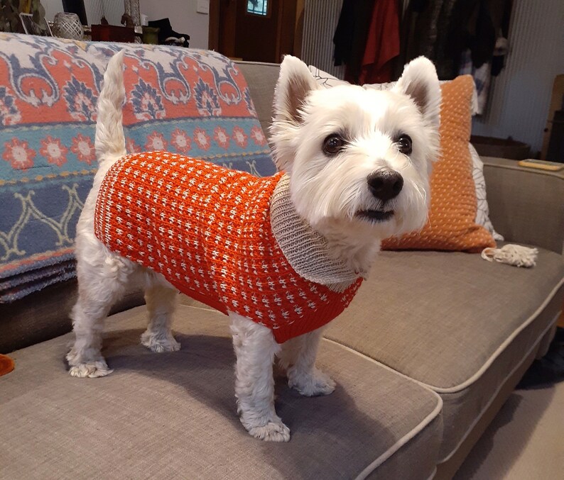 Purple Pure Merino Wool Knitted Dog Sweater XS to X Large Etsy