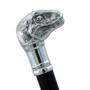 Könnte beinhalten: Ein Gehstock mit einem silberfarbenen Metallgriff in Form eines detaillierten Dinosaurierkopfes mit strukturierten Schuppen und einem markanten Auge. Der Griff ist an einem glatten, schwarzen Schaft befestigt, was einen Kontrast zum metallischen Oberteil bildet.