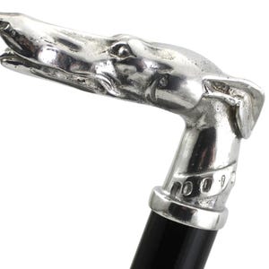 Könnte beinhalten: Ein silberfarbener Gehstockgriff in Form eines Windhundkopfes mit offenem Maul und Halsband, befestigt an einem glatten, schwarzen zylindrischen Schaft. Die metallische Oberfläche reflektiert das Licht und betont die Details des Hundekopfes.
