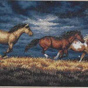 Puede incluir: Una obra de arte en punto de cruz enmarcada que representa tres caballos galopando por un campo cubierto de hierba bajo un cielo oscuro y estrellado. Los caballos son de color marrón y beige, con crines y colas negras. La obra está enmarcada.