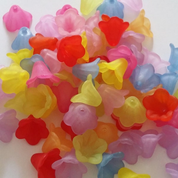 50pcs Frosted Flower Plastic Mixed Colour Craft Beads, 14x10mm - B12045