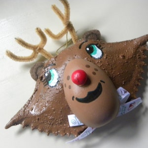 Rudolf  The Red Nosed Reindeer crab shell ornament. Packaged in a plastic container with coordinated shred