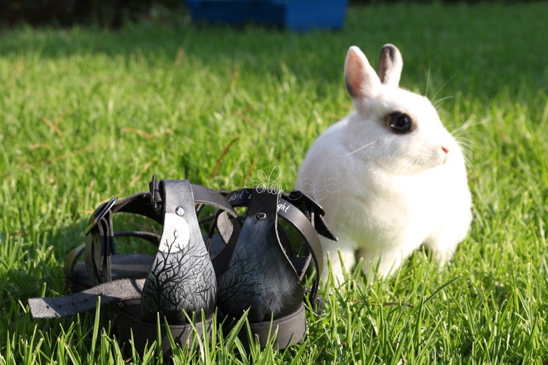 May include: A pair of black leather sandals with a moon and tree design on the straps. The sandals are sitting on green grass next to a white rabbit.