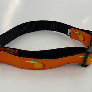 Peach  Dog Collar