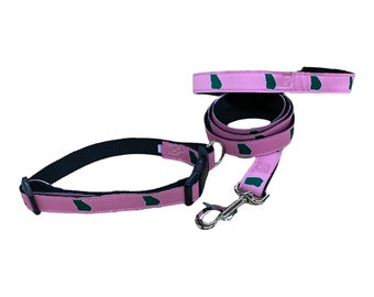 Georgia State Flag Dog Collar and Leash Set | Georgia Pet Accessories