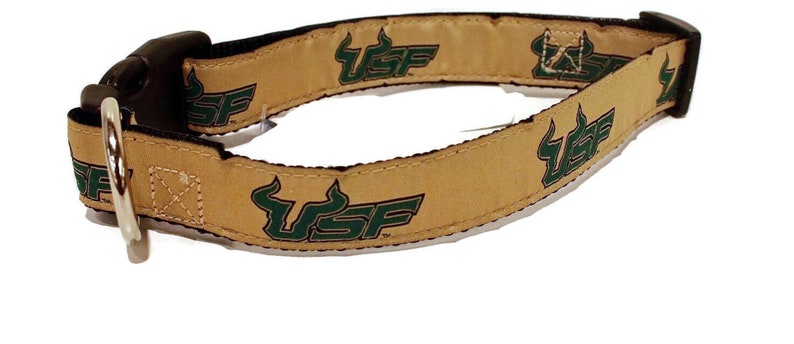 University of South Florida USF Dog Collar image 2