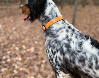Tennessee Dog Collar