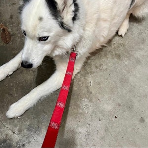 May include: A white and black dog with blue eyes lying down, attached to a red leash featuring a repeating white and red logo pattern of the letter S inside a circle. The leash is connected to the dog with a silver metal swivel snap hook.