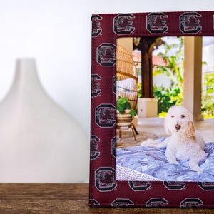 University of South Carolina Gamecocks USC 5x7 Picture Frame