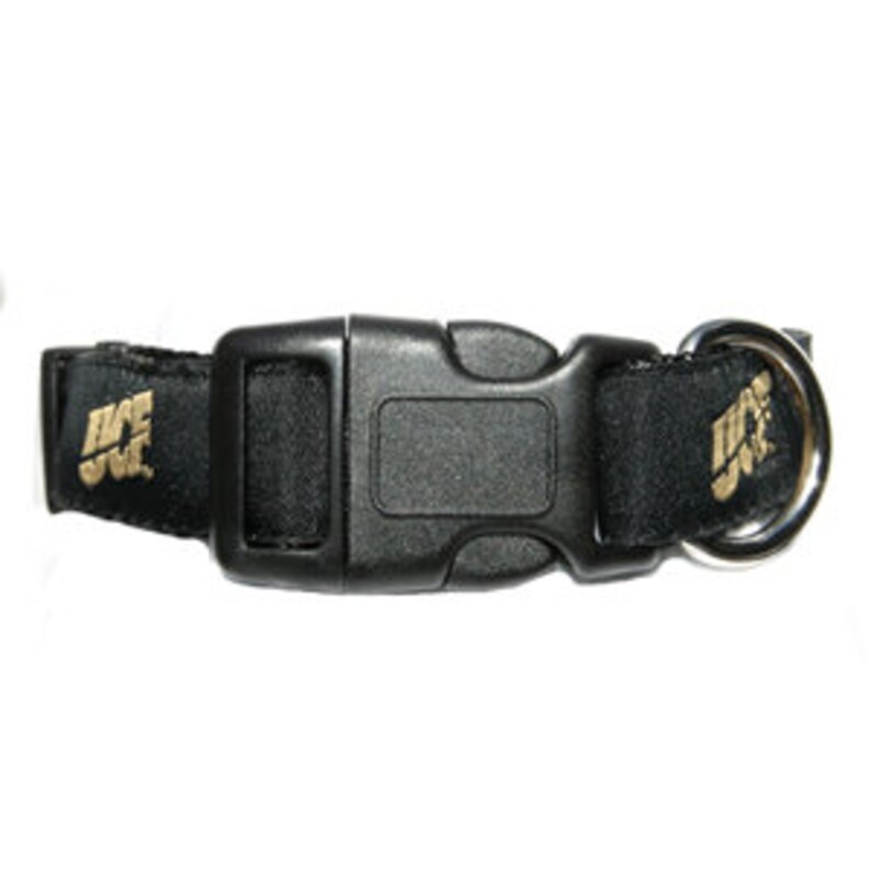 May include: Black dog collar with a gold buckle and a gold metal ring. The collar has the letters "USC" in gold on the black fabric.