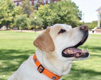 Auburn nylon Dog Collar