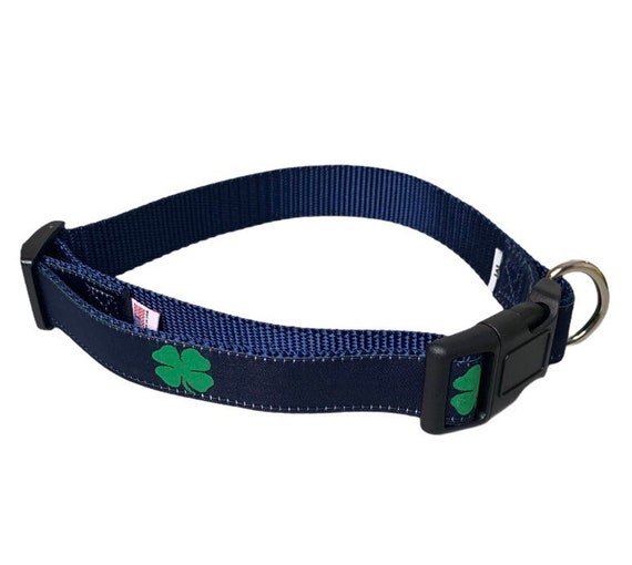 four leaf clover dog collar