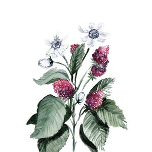 Mixed Florals Watercolor Print