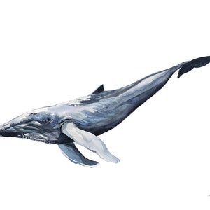 Watercolor Whale Print