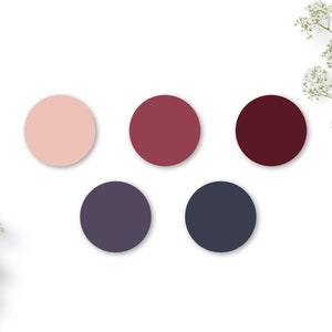May include: A color palette with five circles in shades of pink, red, burgundy, purple, and blue. The circles are arranged in a semi-circle shape on a white background.