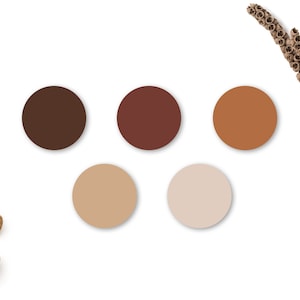 May include: A color palette featuring five different shades of brown, ranging from dark brown to light beige. The colors are arranged in a row, with the darkest brown on the left and the lightest beige on the right.
