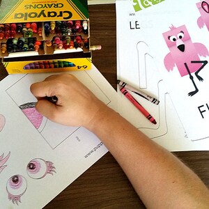 Puede incluir: Un ni&ntilde;o colorea una manualidad de flamenco con crayones. La manualidad es una hoja para colorear en blanco y negro con un contorno de flamenco. La hoja dice "FLAMINGO black & white coloring sheet".