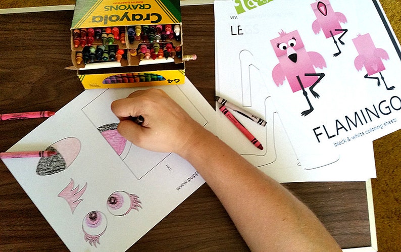 Puede incluir: Un ni&ntilde;o colorea una manualidad de flamenco con crayones. La manualidad es una hoja para colorear en blanco y negro con un contorno de flamenco. La hoja dice "FLAMINGO black & white coloring sheet".