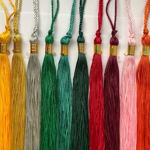 2020 2021 2022 2023 2024 2025 2026 Graduation TASSEL and Year Number CHARM, Your choice of 16 colors, NEW