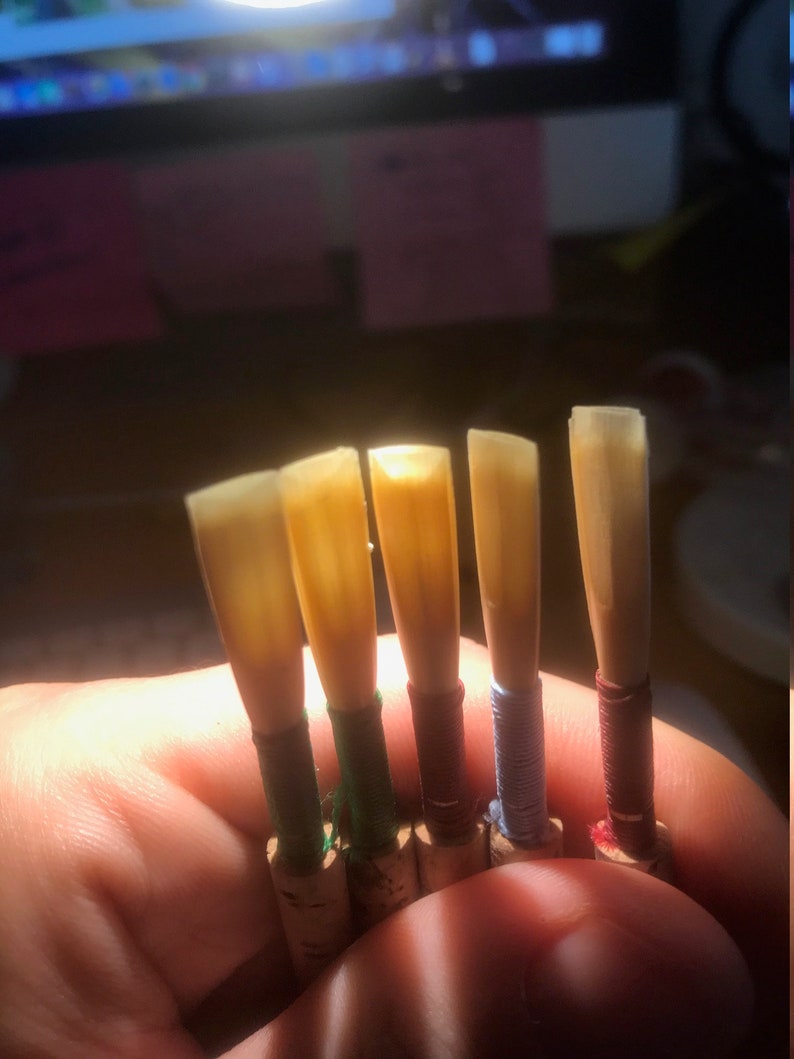 Professional Oboe Reed by Orchestral Oboist Etsy