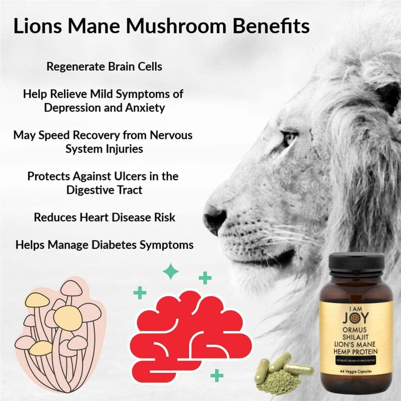 I Am Joy Ormus Shilajit Lion's Mane Hemp Protein Powder Etsy Canada