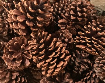 Hermosas piñas ~ lisas o escarchadas ~ Excelentes adornos navideños