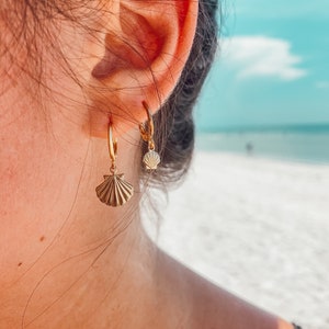 Gold Scallop Shell Huggie Hoop Earrings