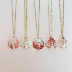 New Shells Real Handmade Scallop Calico Seashell Necklace