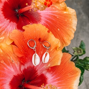 Real Cowrie Shell Hoop Huggies Earrings