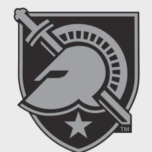 May include: A black and gray shield-shaped emblem featuring a helmet, a sword, and a star. The sword is positioned diagonally across the shield. The emblem has a 'TM' trademark symbol.