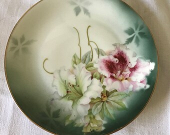 Vintage Plate Made in Germany Poppy Plate Vintage Vessra Early 1900s Floral Poppy Motif Hand Painted Vintage Vessra Poppy Plate