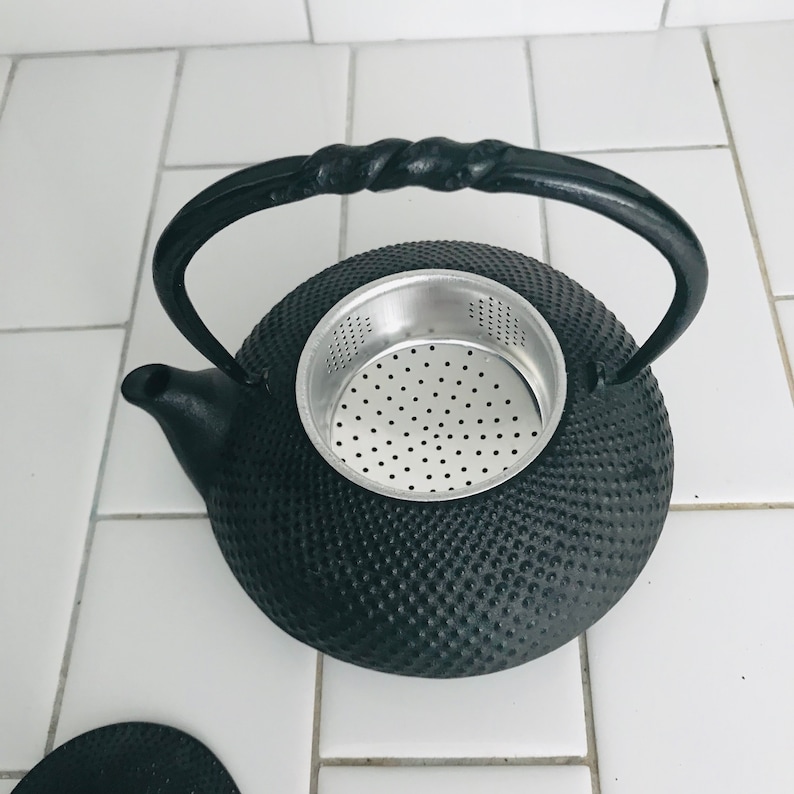 Iwachu Japanese Iron Tetsubin Teapot Enameled interior with infuser