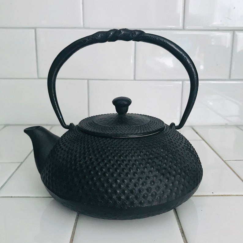 Iwachu Japanese Iron Tetsubin Teapot Enameled interior with infuser