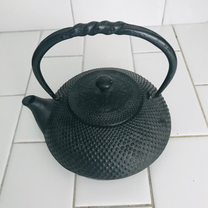 Iwachu Japanese Iron Tetsubin Teapot Enameled interior with infuser